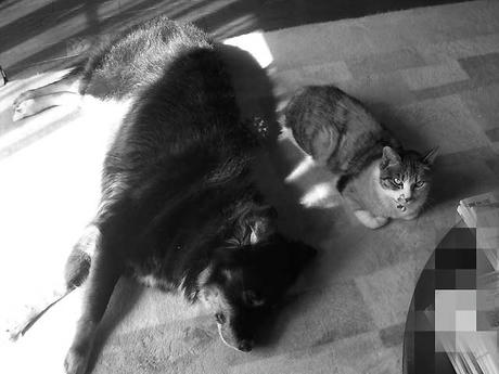 DSCN4684.jpg