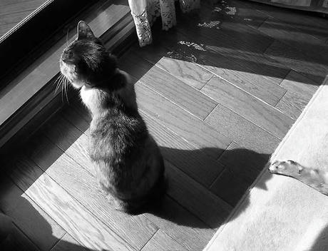 DSCN4687.jpg