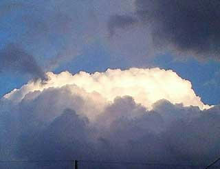 NEC_0286.jpg