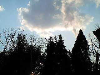NEC_0289.jpg