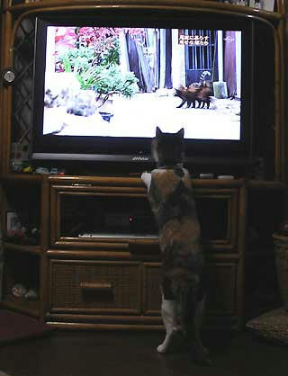DSCN4736.jpg