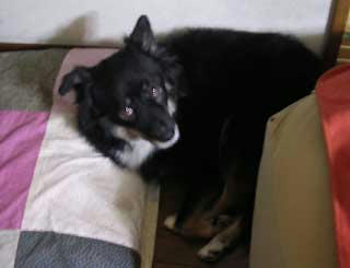 DSCN4718.jpg