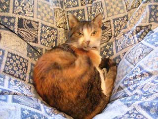 DSCN4722.jpg