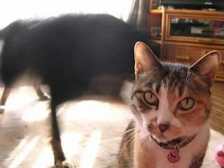 DSCN4727.jpg