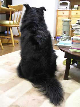 DSCN4755.jpg