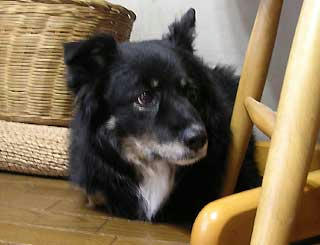 DSCN4749.jpg