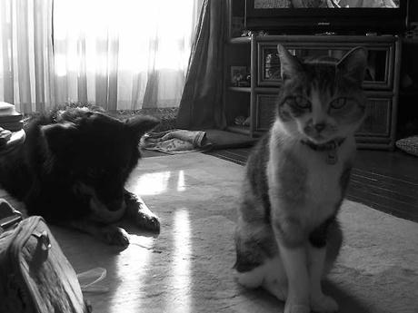 DSCN4726.jpg