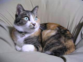 DSCN4773.jpg
