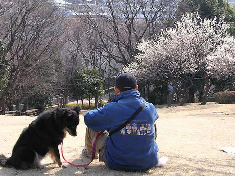 DSCN4793.jpg