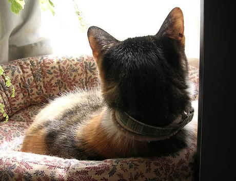 DSCN4813.jpg