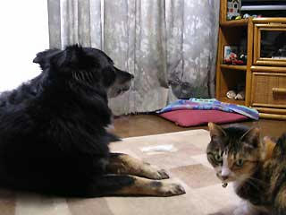DSCN4799.jpg