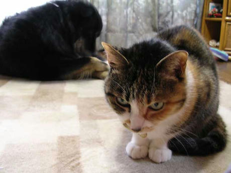 DSCN4800.jpg