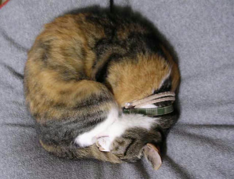 DSCN4821.jpg