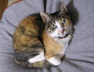 DSCN4824.jpg