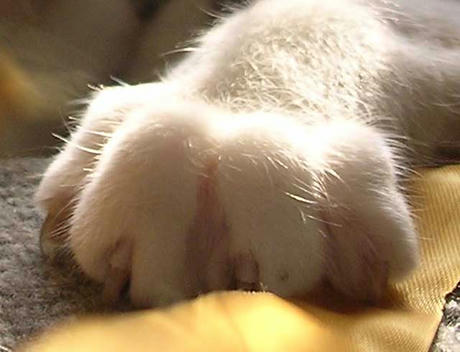 DSCN4825.jpg