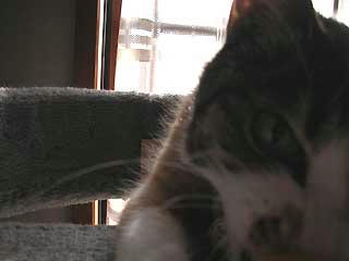 DSCN4826.jpg