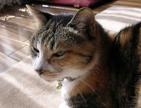 DSCN4797.jpg