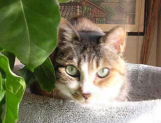 DSCN4834.jpg