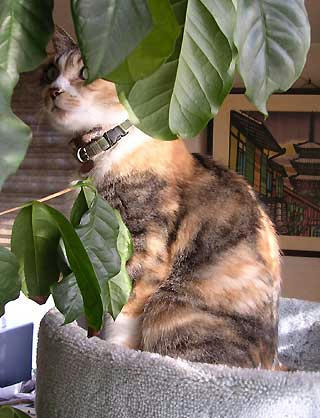 DSCN4837.jpg