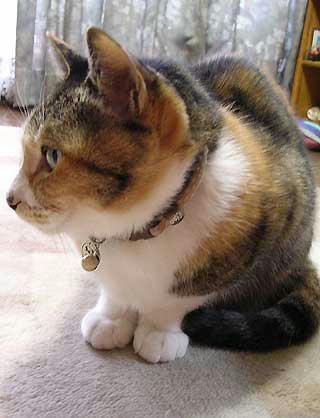 DSCN4802.jpg