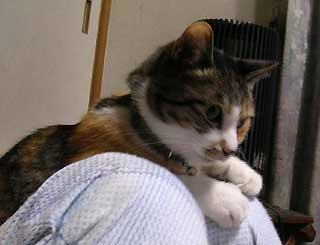 DSCN4848.jpg