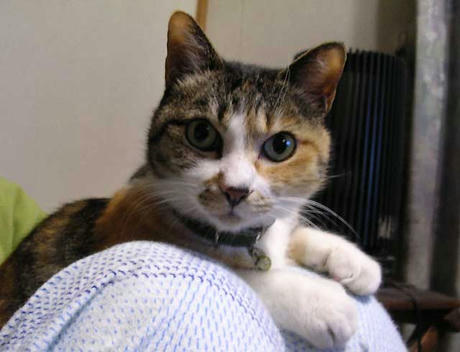 DSCN4849.jpg