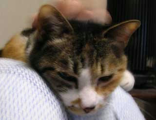 DSCN4855.jpg