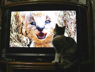 DSCN4859.jpg