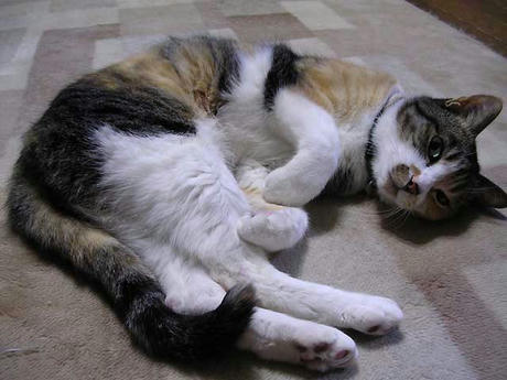 DSCN4768.jpg