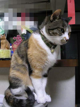 DSCN4875.jpg