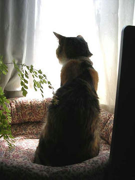 DSCN4892.jpg