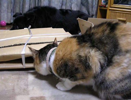 DSCN4916.jpg