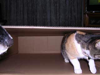 DSCN4911.jpg