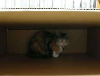 DSCN4910.jpg