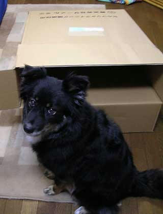 DSCN4909.jpg