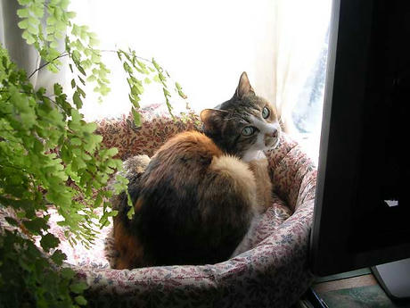 DSCN4918.jpg