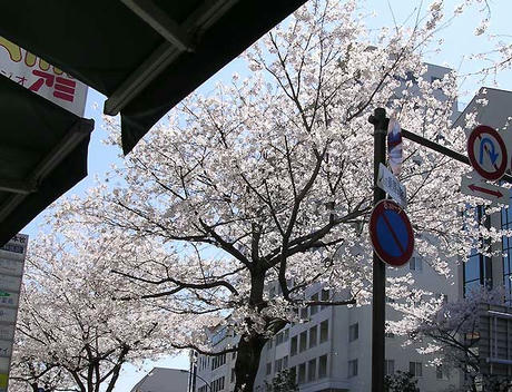 DSCN4922.jpg