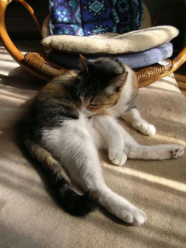DSCN4890.jpg