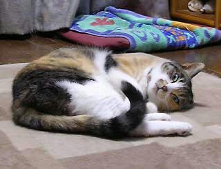 DSCN4907.jpg
