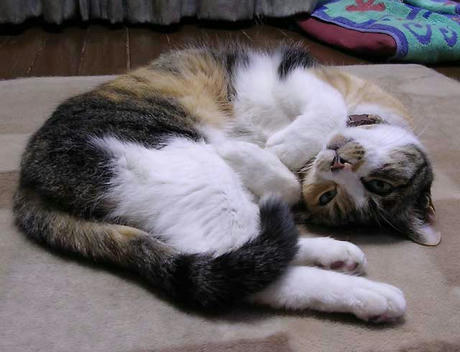 DSCN4908.jpg