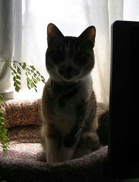 DSCN4894.jpg