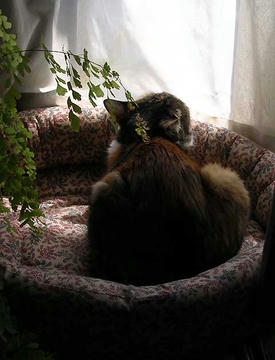 DSCN4891.jpg