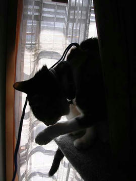 DSCN4938.jpg