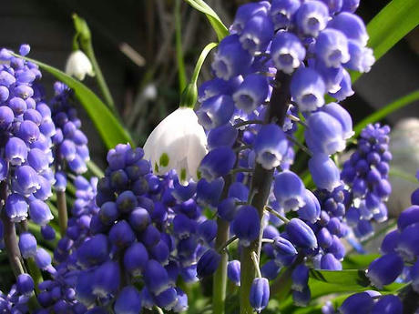 DSCN4955.jpg