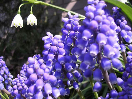 DSCN4956.jpg
