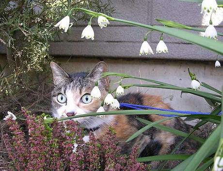 DSCN4957.jpg