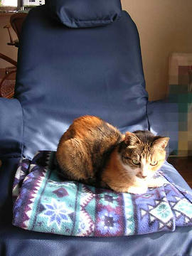 DSCN4926.jpg
