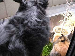DSCN4992.jpg