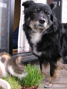 DSCN4994.jpg