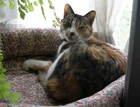 DSCN4997.jpg
